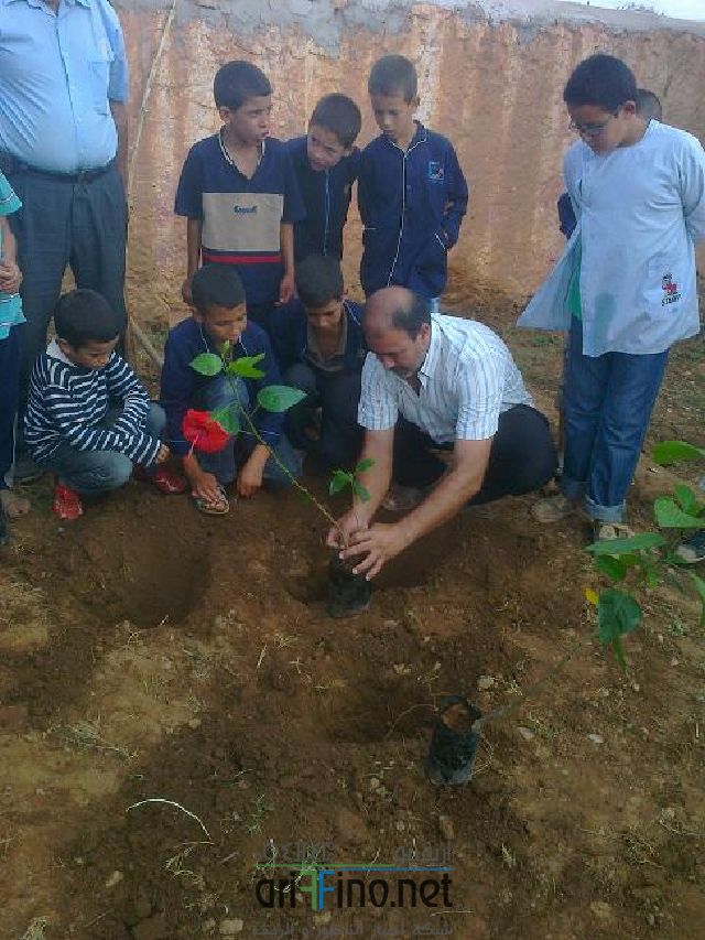 qarya_0005