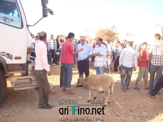 qarya_0005