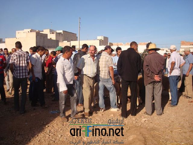 qarya_0006