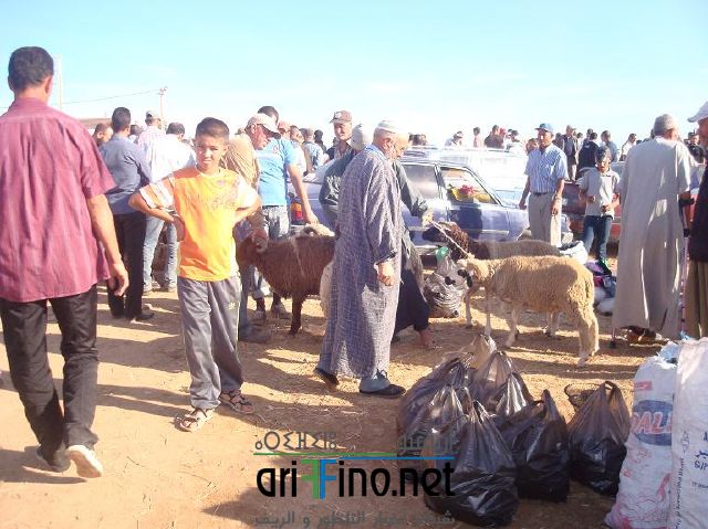 qarya_0009