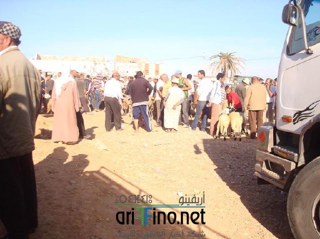 qarya_0010