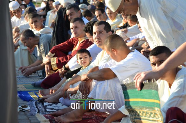 salat_0073