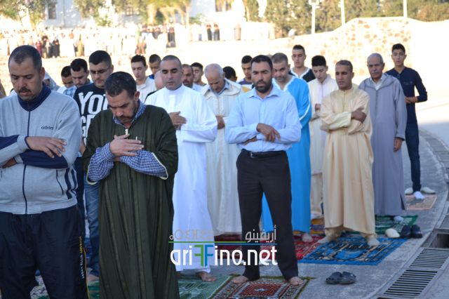 salat_0083