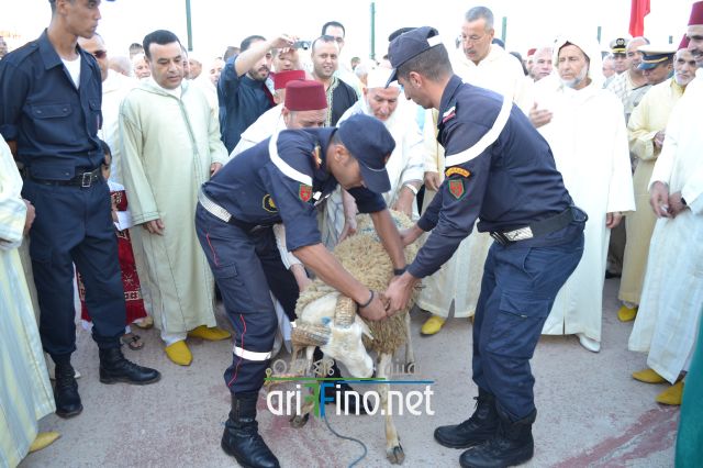 salat_0131