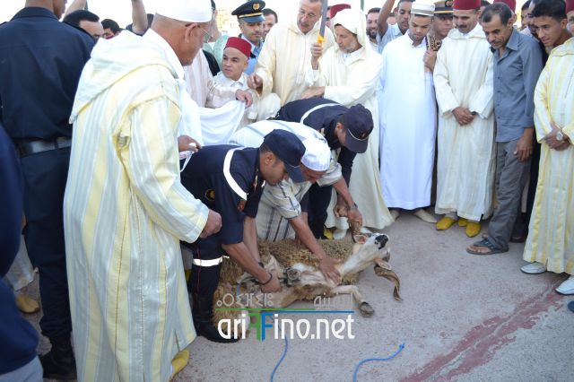 salat_0132