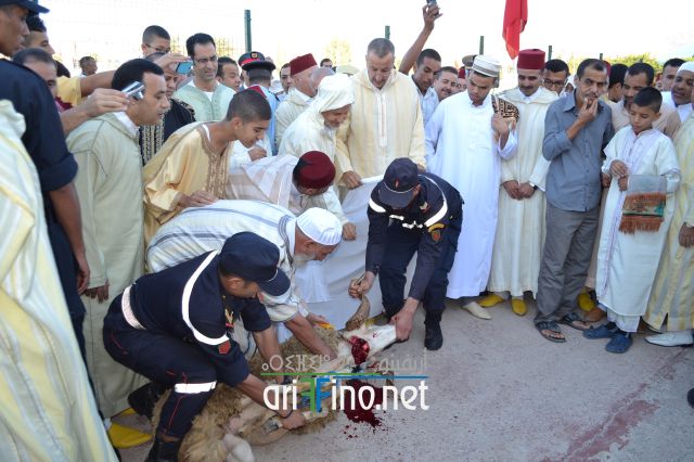 salat_0133