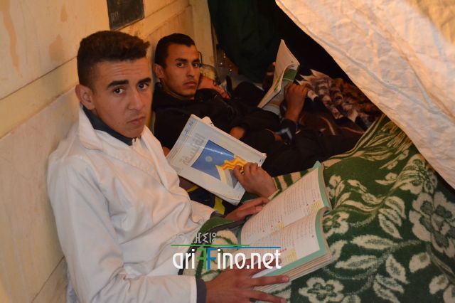 bninsar0845