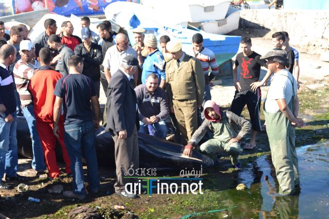 nador0099