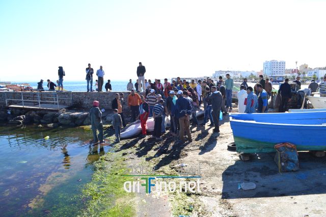 nador0110