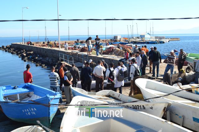 nador0113