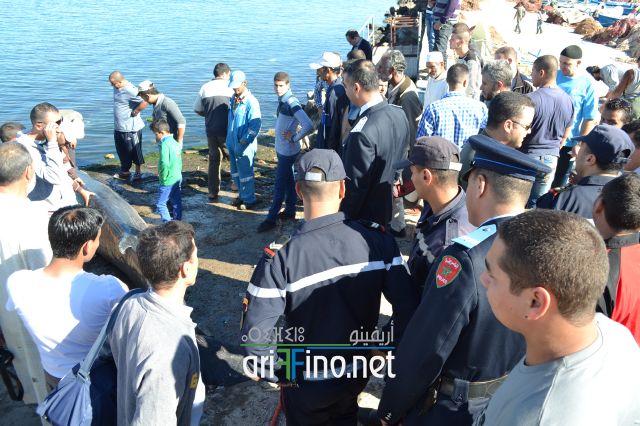 nador0119
