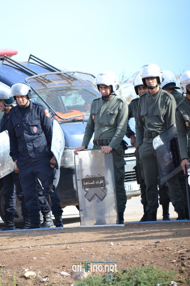 nador0181