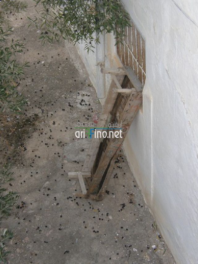 IF