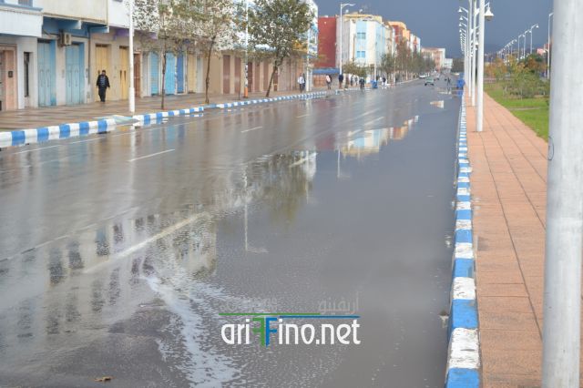nador0272