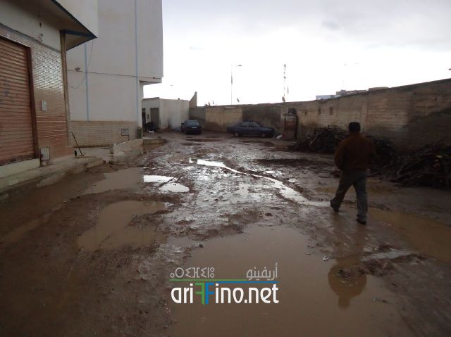 nador0272