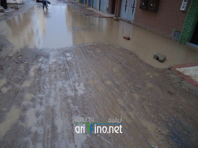 nador0284