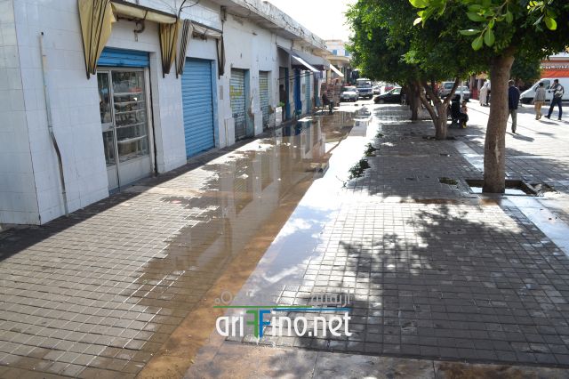 nador0288