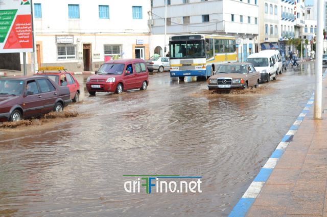 nador0291