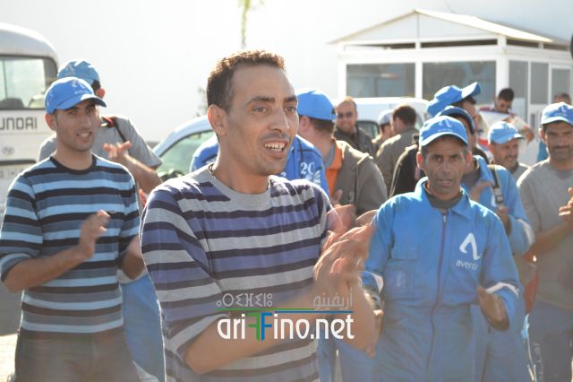 nador0294