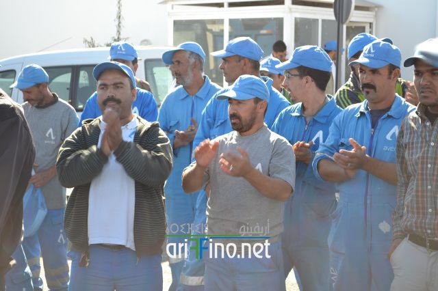 nador0303