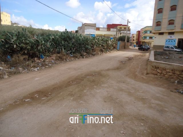 nador0378