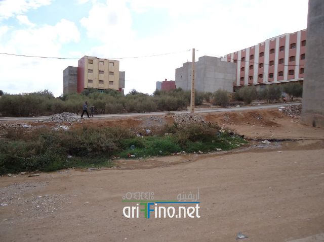 nador0381