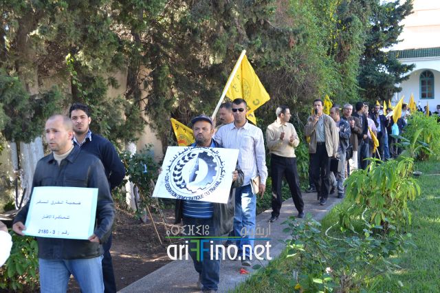 nador0393