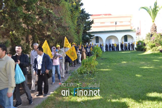 nador0398