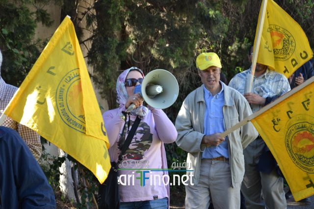 nador0399
