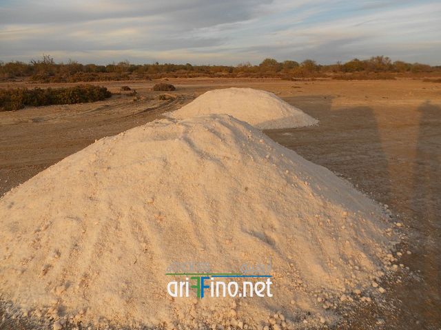 IF