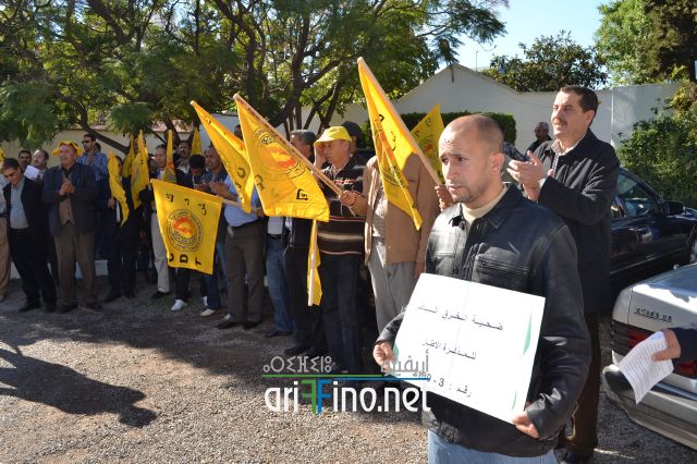 nador0411