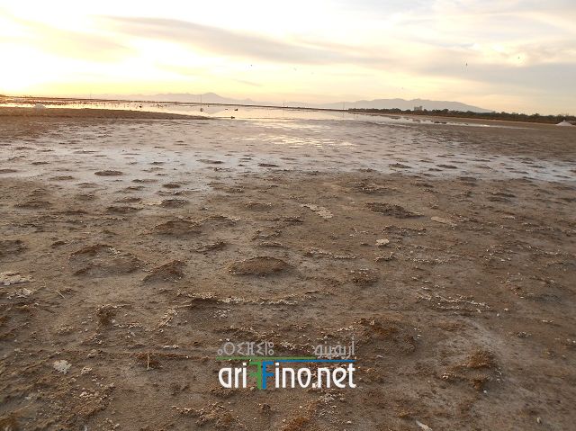 IF
