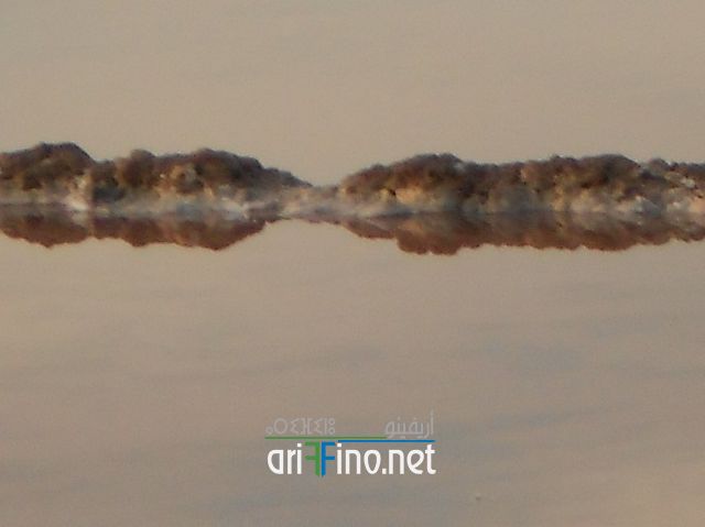 IF