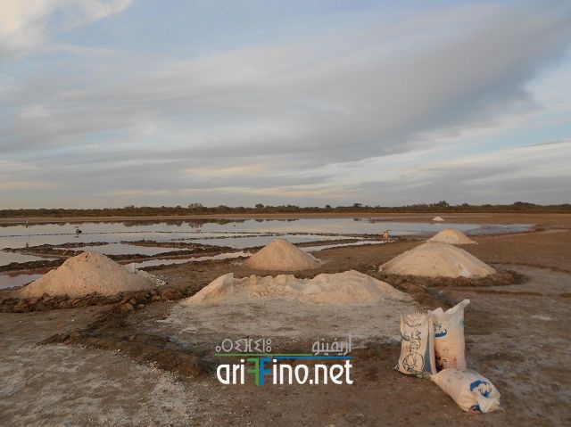 IF
