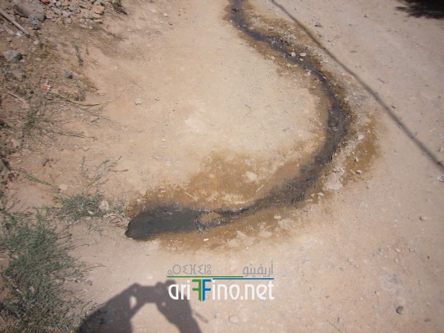 nador0490