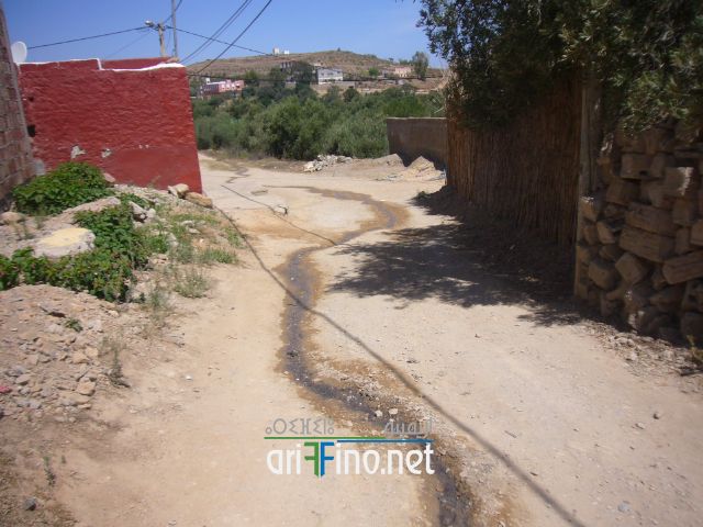 nador0491