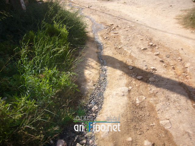 nador0492