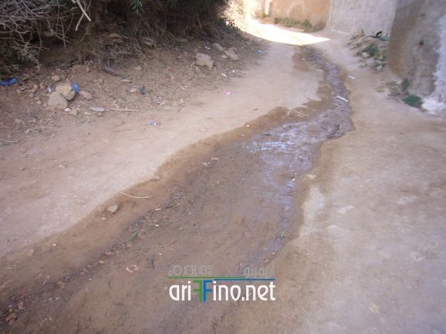nador0493