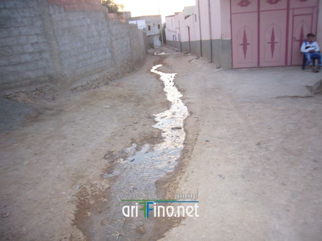 nador0494
