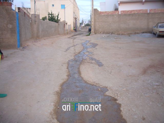 nador0495