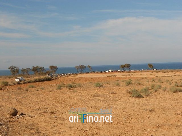 nador0544