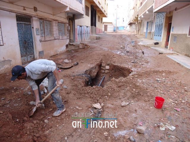 nador0593