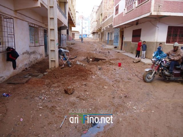 nador0595