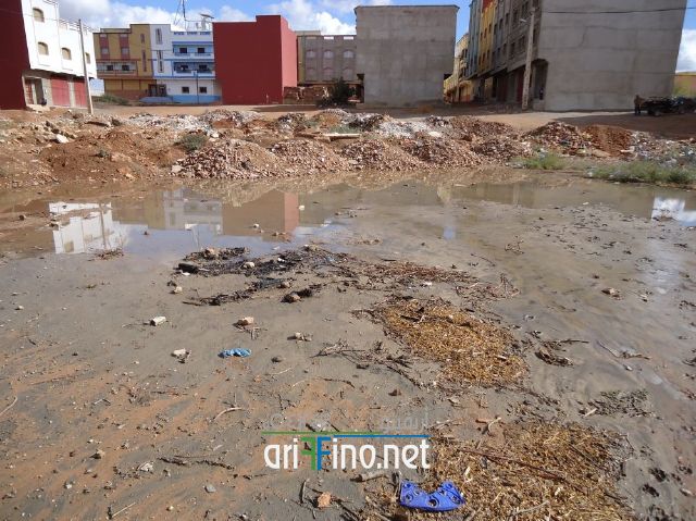 nador0598