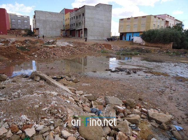 nador0599
