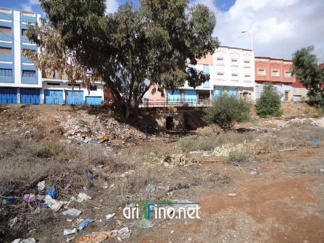 nador0602