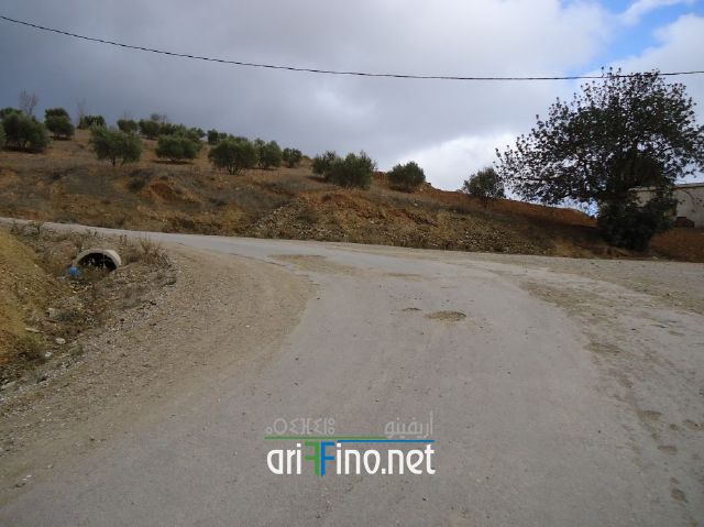 nador0772