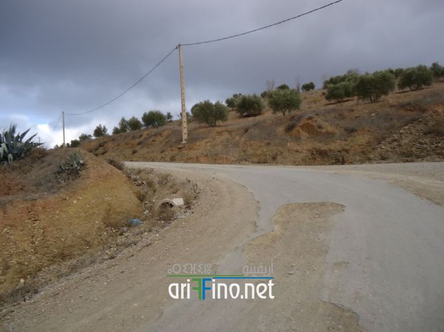 nador0773