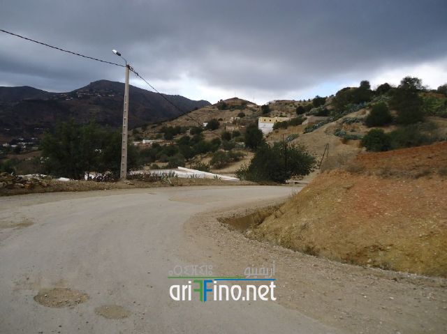 nador0774