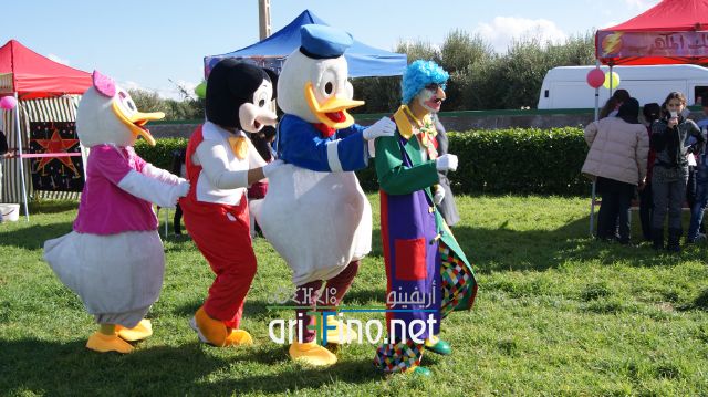 SONY DSC
